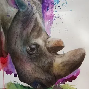 tableau aquarelle rhinoceros