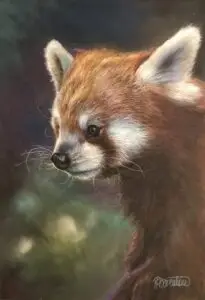 Le portrait aux Pastels panda roux