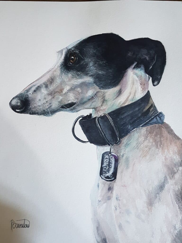 aquarelle animalière chien levrier