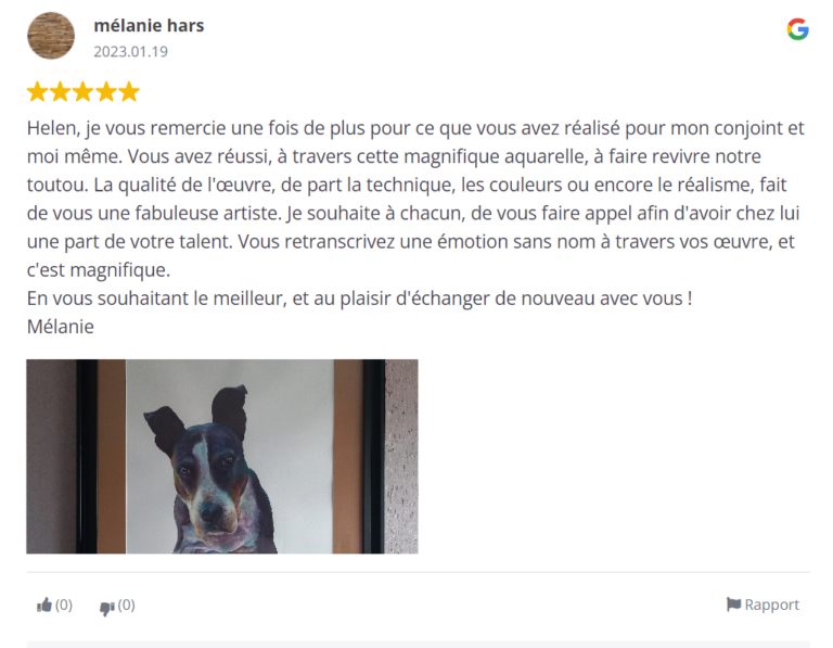 avis-google7